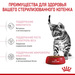 Royal Canin Kitten Sterilised Корм сухой сбалансированный для стерилизованных котят до 12 месяцев – интернет-магазин Ле’Муррр