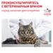Royal Canin Senior Consult Stage 1 Сухой лечебный корм для пожилых кошек – интернет-магазин Ле’Муррр