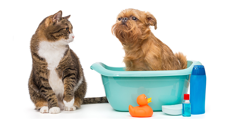 Какой шампунь для кошек и собак лучше: обзор Le Artis и Herba Vitae